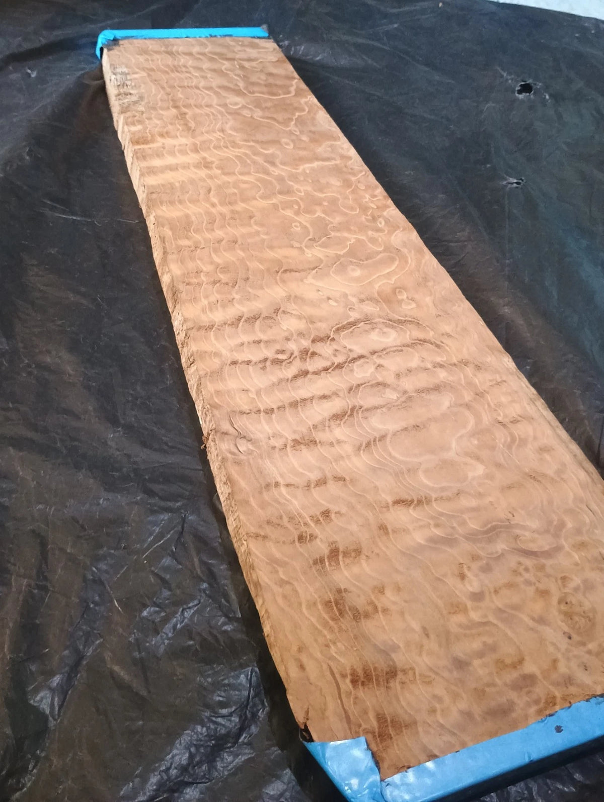 Figured Curly Big Leaf Maple Roasted Stained 24.5"x6"x7/8".