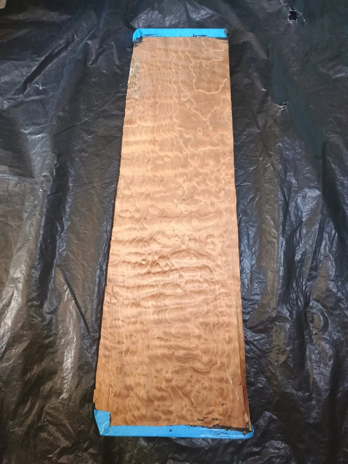 Figured Curly Big Leaf Maple Roasted Stained 24.5"x6"x7/8".