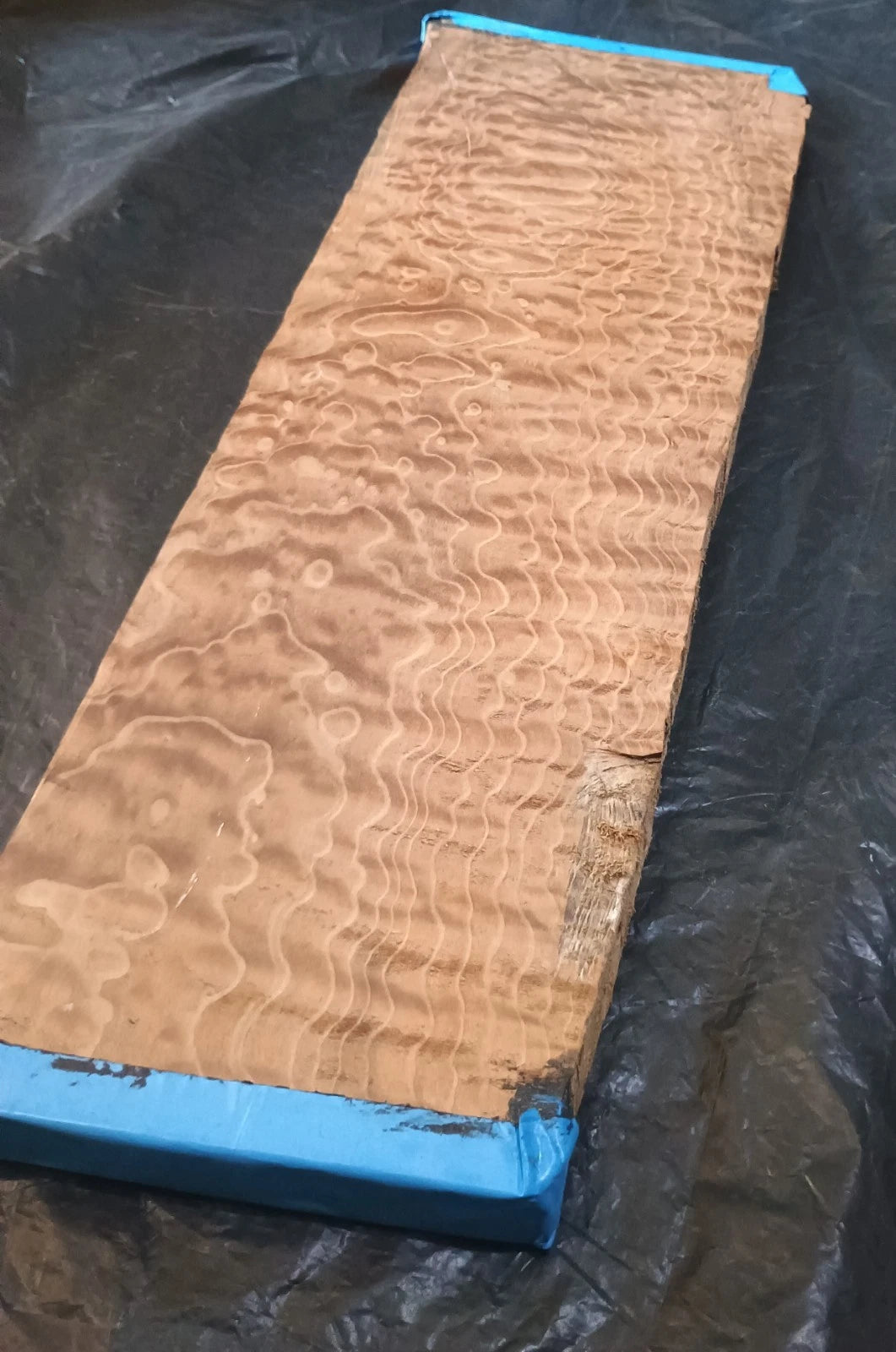 Figured Curly Big Leaf Maple Roasted Stained 24.5"x6"x7/8".