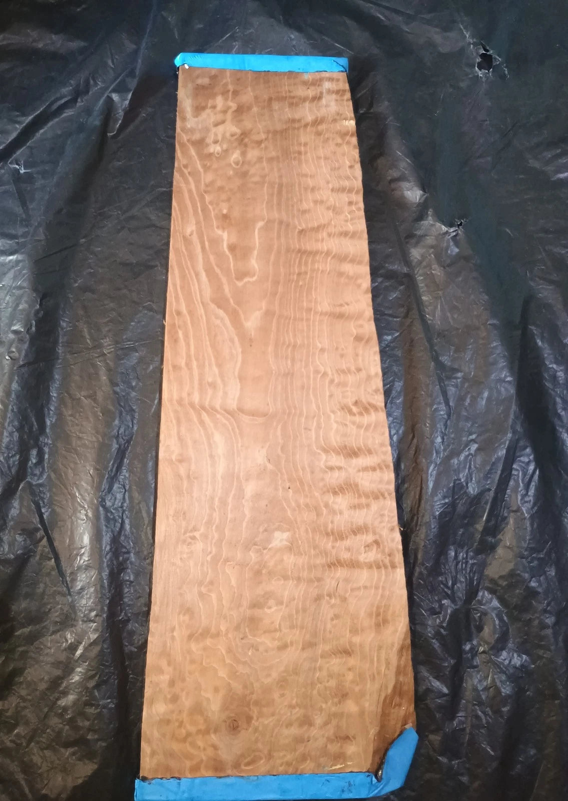 Figured Curly Big Leaf Maple Roasted Stained 24.5"x6"x7/8".