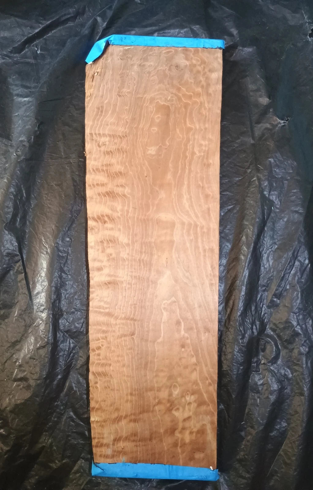 Figured Curly Big Leaf Maple Roasted Stained 24.5"x6"x7/8".