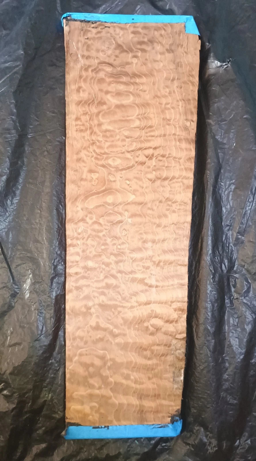 Figured Curly Big Leaf Maple Roasted Stained 24.5"x6"x7/8".