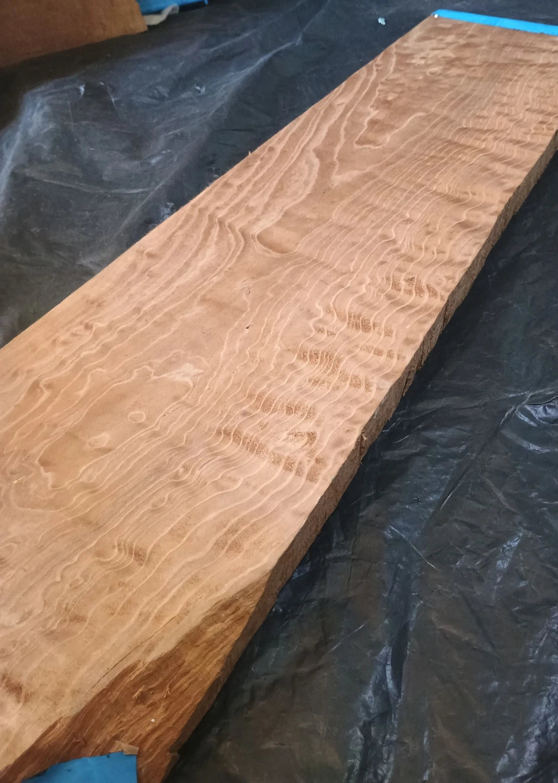 Figured Curly Big Leaf Maple Roasted Stained 24.5"x6"x7/8".